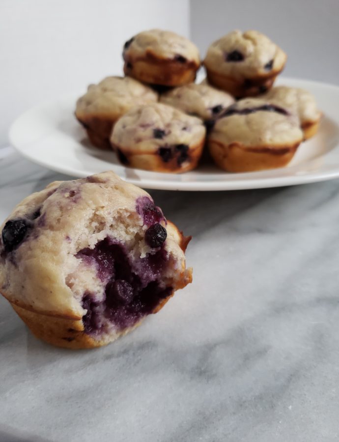 Blueberry greek yogurt muffins. A low calorie, naturally sweetened healthy muffin recipe, with a little extra protein to keep you going!